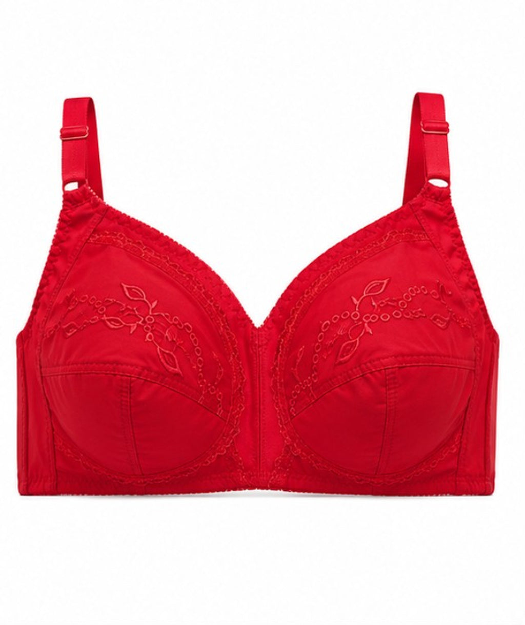 Beauty Secret Maximizer Bra